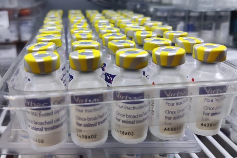 Vials of vaccines ready to protect your pet from life threatening diseases.