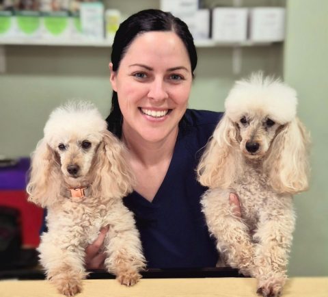 Danielle a receptionist holding her dogs, showing a warm welcome on reception