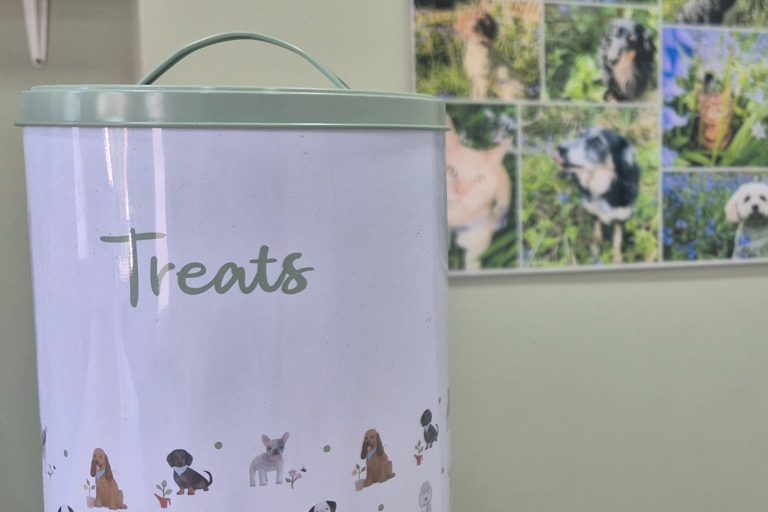 We use treats to help your pet feel at ease